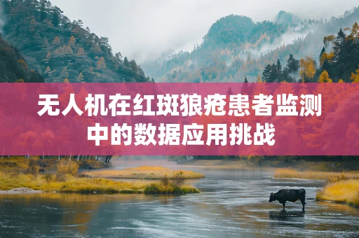 无人机在红斑狼疮患者监测中的数据应用挑战