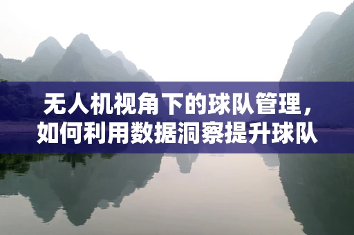 无人机视角下的球队管理，如何利用数据洞察提升球队老板的决策效率？