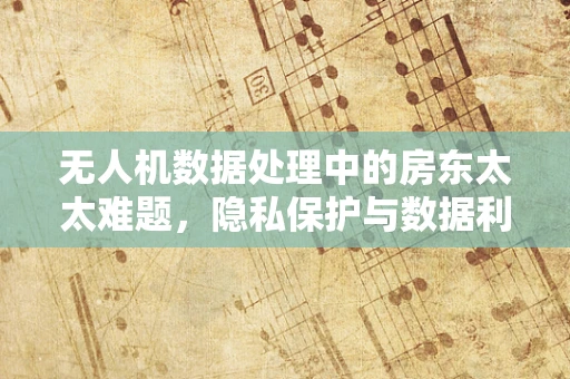 无人机数据处理中的房东太太难题，隐私保护与数据利用的平衡