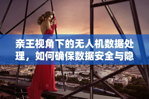 亲王视角下的无人机数据处理，如何确保数据安全与隐私？