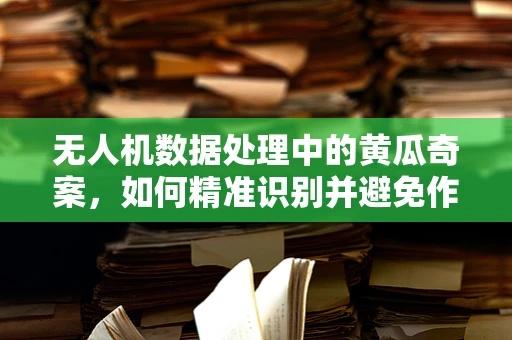 无人机数据处理中的黄瓜奇案，如何精准识别并避免作物误判？