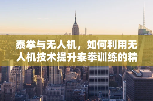 泰拳与无人机，如何利用无人机技术提升泰拳训练的精准度？