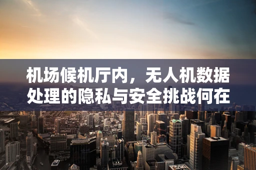 机场候机厅内，无人机数据处理的隐私与安全挑战何在？