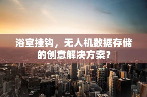 浴室挂钩，无人机数据存储的创意解决方案？