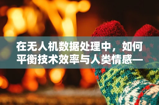 在无人机数据处理中，如何平衡技术效率与人类情感——以‘怜悯’为视角？