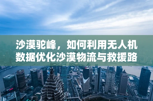 沙漠驼峰，如何利用无人机数据优化沙漠物流与救援路径？