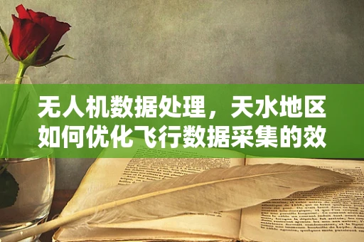 无人机数据处理，天水地区如何优化飞行数据采集的效率与精度？