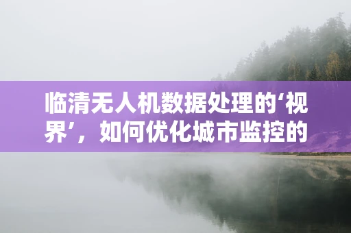 临清无人机数据处理的‘视界’，如何优化城市监控的‘透视’能力？