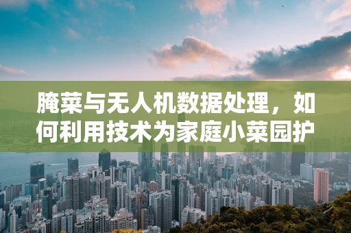 腌菜与无人机数据处理，如何利用技术为家庭小菜园护航？