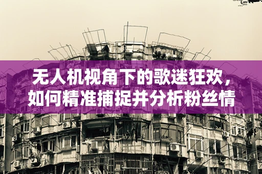 无人机视角下的歌迷狂欢，如何精准捕捉并分析粉丝情绪？