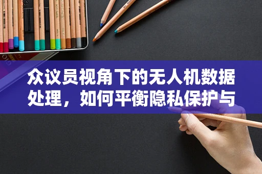 众议员视角下的无人机数据处理，如何平衡隐私保护与公共安全？