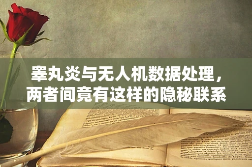 睾丸炎与无人机数据处理，两者间竟有这样的隐秘联系？