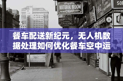 餐车配送新纪元，无人机数据处理如何优化餐车空中运输效率？