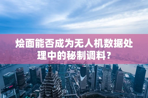 烩面能否成为无人机数据处理中的秘制调料？