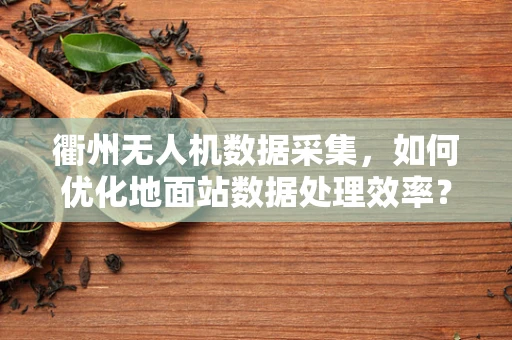 衢州无人机数据采集，如何优化地面站数据处理效率？