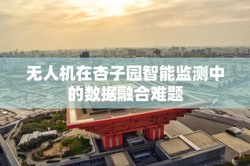 无人机在杏子园智能监测中的数据融合难题