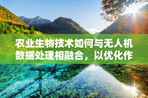农业生物技术如何与无人机数据处理相融合，以优化作物监测？