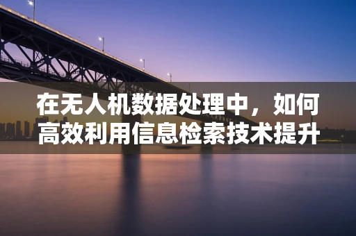 在无人机数据处理中，如何高效利用信息检索技术提升数据筛选效率？
