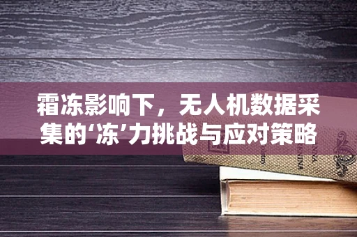 霜冻影响下，无人机数据采集的‘冻’力挑战与应对策略