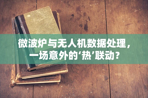 微波炉与无人机数据处理，一场意外的‘热’联动？