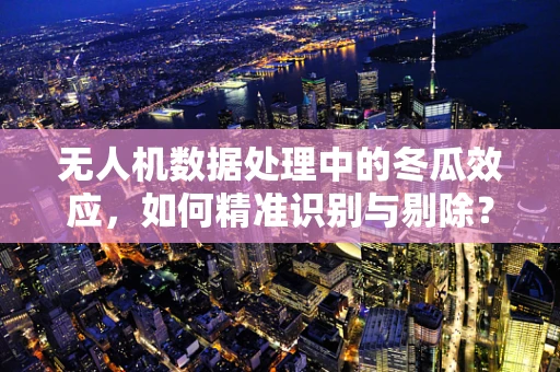 无人机数据处理中的冬瓜效应，如何精准识别与剔除？