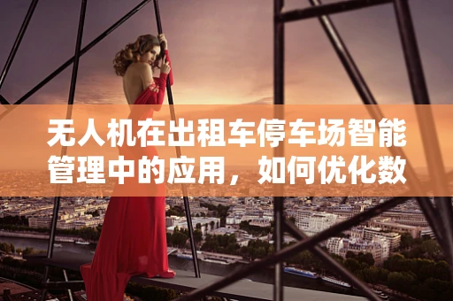 无人机在出租车停车场智能管理中的应用，如何优化数据采集与处理？