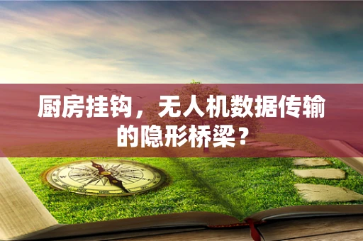 厨房挂钩，无人机数据传输的隐形桥梁？