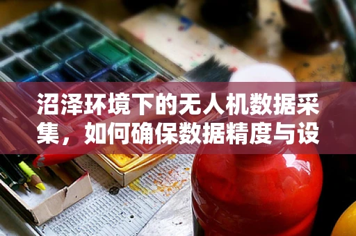 沼泽环境下的无人机数据采集，如何确保数据精度与设备安全？