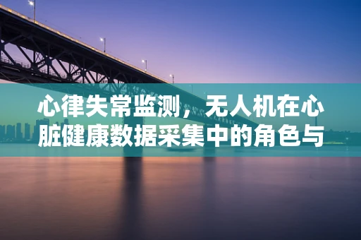 心律失常监测，无人机在心脏健康数据采集中的角色与挑战？