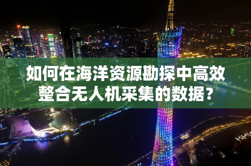 如何在海洋资源勘探中高效整合无人机采集的数据？