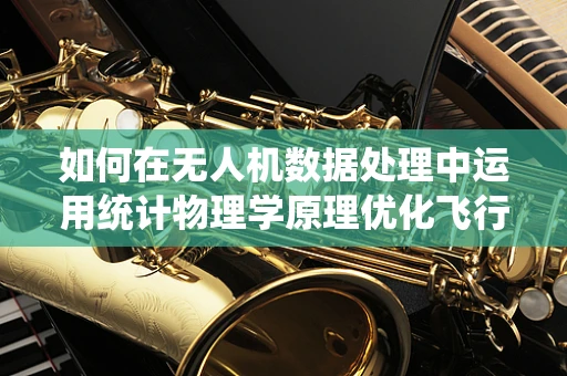 如何在无人机数据处理中运用统计物理学原理优化飞行路径？