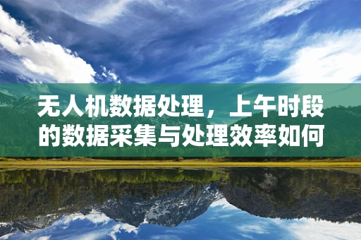 无人机数据处理，上午时段的数据采集与处理效率如何优化？