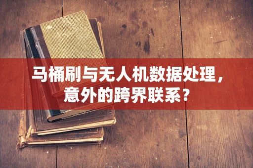 马桶刷与无人机数据处理，意外的跨界联系？