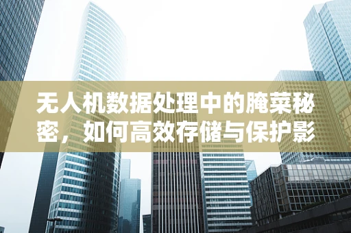 无人机数据处理中的腌菜秘密，如何高效存储与保护影像数据？