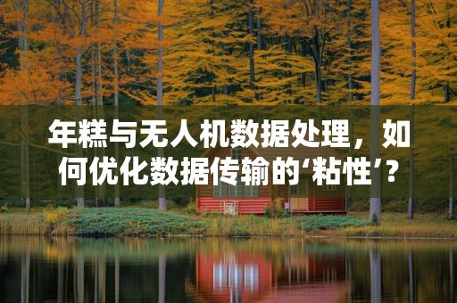 年糕与无人机数据处理，如何优化数据传输的‘粘性’？