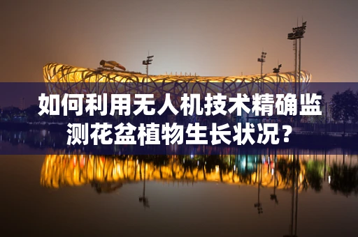 如何利用无人机技术精确监测花盆植物生长状况？