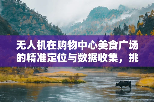 无人机在购物中心美食广场的精准定位与数据收集，挑战与解决方案