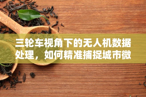 三轮车视角下的无人机数据处理，如何精准捕捉城市微动？