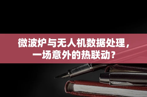 微波炉与无人机数据处理，一场意外的热联动？