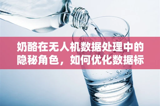 奶酪在无人机数据处理中的隐秘角色，如何优化数据标记与分类？