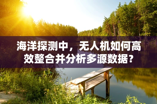 海洋探测中，无人机如何高效整合并分析多源数据？
