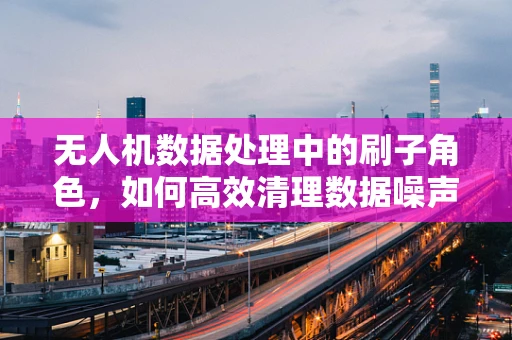 无人机数据处理中的刷子角色，如何高效清理数据噪声？