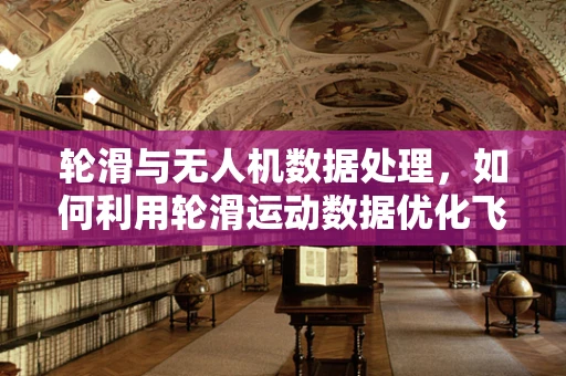 轮滑与无人机数据处理，如何利用轮滑运动数据优化飞行路径？