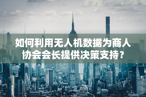 如何利用无人机数据为商人协会会长提供决策支持？