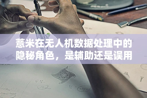 薏米在无人机数据处理中的隐秘角色，是辅助还是误用？