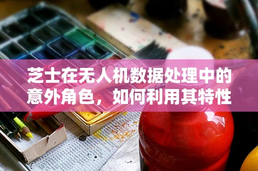 芝士在无人机数据处理中的意外角色，如何利用其特性优化图像识别？