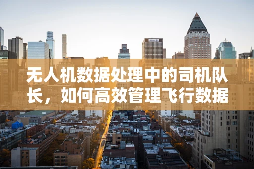 无人机数据处理中的司机队长，如何高效管理飞行数据？