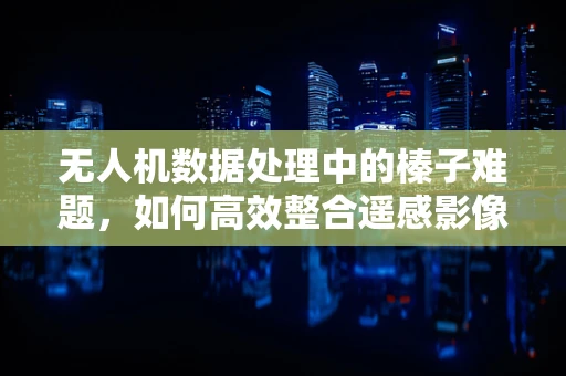 无人机数据处理中的榛子难题，如何高效整合遥感影像与地面数据？