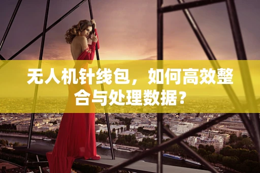 无人机针线包，如何高效整合与处理数据？