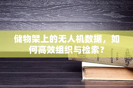 储物架上的无人机数据，如何高效组织与检索？